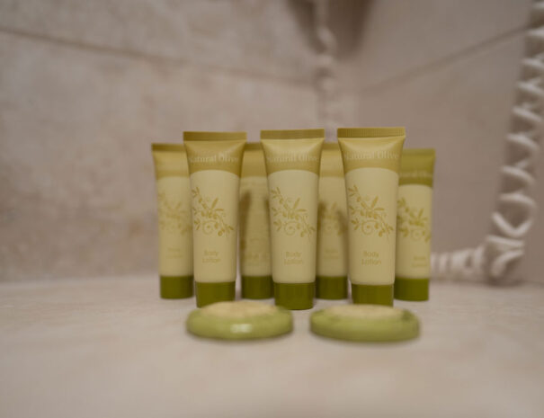 Superior Family Suite with Garden View_ (9)